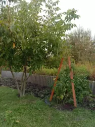 Продается дом Сумская, Сумы, Заречный, Олдыш с/т Роддом фото 2 Продается дом Сумская, Сумы, Заречный, Олдыш с/т Роддом фото 2