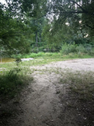 Продается дом Сумская, Сумы, Заречный, Барановка фото 14 Продается дом Сумская, Сумы, Заречный, Барановка фото 14