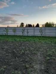 Продается дом Сумская, Сумы, Ковпаковский, Тополянська фото 4 Продается дом Сумская, Сумы, Ковпаковский, Тополянська фото 4