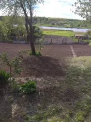 Продается дом Сумская, Сумы, Рибгосп, с/т Будівельник фото 4 Продается дом Сумская, Сумы, Рибгосп, с/т Будівельник фото 4