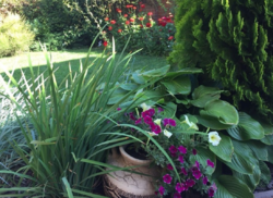 Продается дом Сумская, Сумы фото 17 Продается дом Сумская, Сумы фото 17