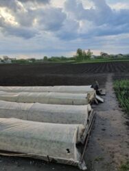 Продается дом Сумская, Сумский, Нижняя Сыроватка фото 4 Продается дом Сумская, Сумский, Нижняя Сыроватка фото 4