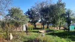 Продается дом Низы, Сумский, Сумская фото 6 Продается дом Низы, Сумский, Сумская фото 6