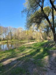 Продается дом Сумская, Сумы фото 8 Продается дом Сумская, Сумы фото 8