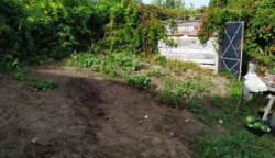 Продается дом Сумская, Сумский, Пушкаревка фото 5 Продается дом Сумская, Сумский, Пушкаревка фото 5