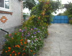 Продается дом Сумская, Сумский фото 7 Продается дом Сумская, Сумский фото 7