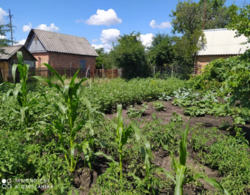 Продается дом Сумская, Сумы, Заречный, Белопольской фото 3 Продается дом Сумская, Сумы, Заречный, Белопольской фото 3