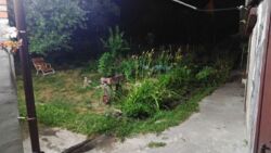 Продается дом Сумская, Сумы, Ковпаковский, Руднєва вул. фото 17 Продается дом Сумская, Сумы, Ковпаковский, Руднєва вул. фото 17