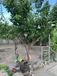 Продается дом Сумская, Сумы фото 9 Продается дом Сумская, Сумы фото 9