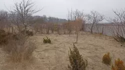 ��������� ��� ����������, �������, ������� ���� 5