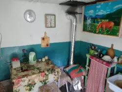 Продается дом Сумская, Сумский, Новоселица, с/т Хімік-2 фото 9 Продается дом Сумская, Сумский, Новоселица, с/т Хімік-2 фото 9