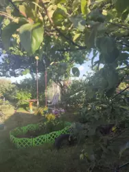 Продается дом Степановка, Сумский, Сумская фото 5 Продается дом Степановка, Сумский, Сумская фото 5