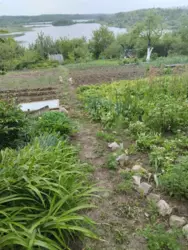 Продается дом за старим аеропортом(с/т Будівельник), Сумы, Сумская, Заречный фото 2 Продается дом за старим аеропортом(с/т Будівельник), Сумы, Сумская, Заречный фото 2