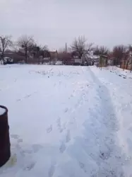 Продается дом Білопільський шлях с/т Цукровик, Сумы, Сумская, Ковпаковский фото 8 Продается дом Білопільський шлях с/т Цукровик, Сумы, Сумская, Ковпаковский фото 8