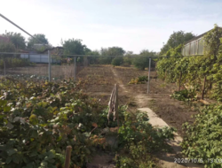 Продается дом Сумская, Сумы, Заречный, улица Баумана фото 7 Продается дом Сумская, Сумы, Заречный, улица Баумана фото 7