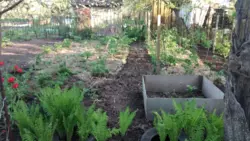 Продается дом Сумская, Сумы, Заречный, Хіммістечко фото 2 Продается дом Сумская, Сумы, Заречный, Хіммістечко фото 2