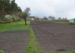 Продается дом Сумская, Сумский, Писаровка, ул. Лесная 108 фото 3 Продается дом Сумская, Сумский, Писаровка, ул. Лесная 108 фото 3