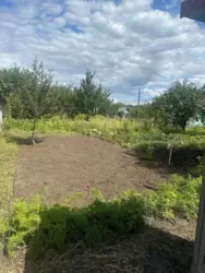 Продается дом Сумская, Сумы, Ковпаковский, Білопільський шлях с/т Фрунзенець фото 8 Продается дом Сумская, Сумы, Ковпаковский, Білопільський шлях с/т Фрунзенець фото 8