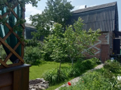 Продается дом Сумская, Сумы, Барановка фото 4 Продается дом Сумская, Сумы, Барановка фото 4