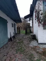 ��������� ��� �����, �����������, ������� ���� 5