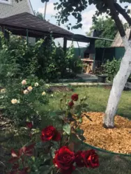 Продается дом Сумская, Сумы, Ковпаковский, за Косівщиною фото 6 Продается дом Сумская, Сумы, Ковпаковский, за Косівщиною фото 6