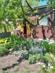 Продается дом Олдиш-86, Сумы, Сумская, Заречный фото 1 Продается дом Олдиш-86, Сумы, Сумская, Заречный фото 1