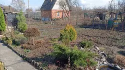 Продается дом СТ 'ХІМІК-2', Новоселица, Сумский, Сумская фото 3 Продается дом СТ 'ХІМІК-2', Новоселица, Сумский, Сумская фото 3