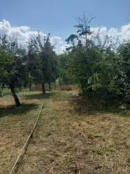 Продается дом Сумская, Сумы, Ковпаковский, Білопільський шлях с/т Фрунзенець фото 3 Продается дом Сумская, Сумы, Ковпаковский, Білопільський шлях с/т Фрунзенець фото 3