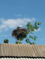 Продается дом Сумская, Сумский фото 3 Продается дом Сумская, Сумский фото 3