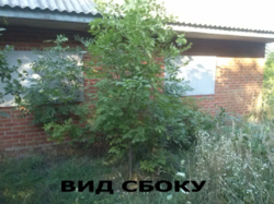 Продается дом Сумская, Сумский, Шпиловка, ул. Степная фото 9 Продается дом Сумская, Сумский, Шпиловка, ул. Степная фото 9