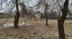 Продается дом Сумская, Сумский фото 10 Продается дом Сумская, Сумский фото 10