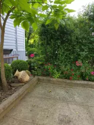 ��������� ��� �����������, �������, ������� ���� 2