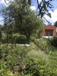 Продается дом Сумская, Сумы, Заречный, Черновола фото 10 Продается дом Сумская, Сумы, Заречный, Черновола фото 10