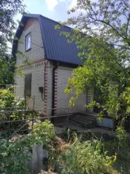 ��������� ��� �/� �������� , ������������ ����, 40, ����, �������, ������������ ���� 7