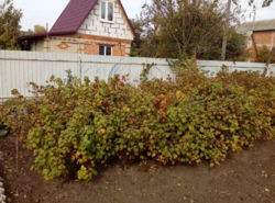 Продается дом Сумская, Сумский фото 8 Продается дом Сумская, Сумский фото 8