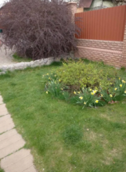 Продается дом Сумская, Сумы, Заречный, ул. Депутатская фото 13 Продается дом Сумская, Сумы, Заречный, ул. Депутатская фото 13