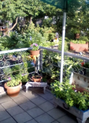 Продается дом Сумская, Сумы, Заречный, Барановке фото 9 Продается дом Сумская, Сумы, Заречный, Барановке фото 9