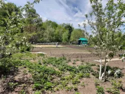 Продается дом Сумская, Сумы, Ковпаковский, Тополянська фото 2 Продается дом Сумская, Сумы, Ковпаковский, Тополянська фото 2