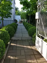 ��������� ��� �����������, �������, ������� ���� 1