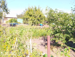 Продается дом Сумская, Сумы, Заречный, Белопольской фото 7 Продается дом Сумская, Сумы, Заречный, Белопольской фото 7