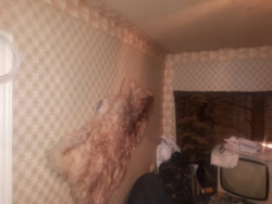 Продается дом Сумская, Сумы, Заречный, ул.Нефтянник,2 фото 12 Продается дом Сумская, Сумы, Заречный, ул.Нефтянник,2 фото 12