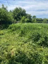 ��������� ��� ������������ ���� �/� ����������, ����, �������, ������������ ���� 5