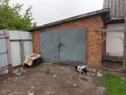 Продается дом Сумская, Сумский, Постольное фото 7 Продается дом Сумская, Сумский, Постольное фото 7