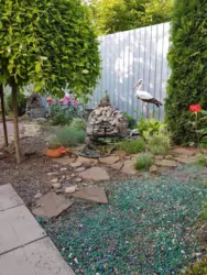 ��������� ��� �����������, �������, ������� ���� 3