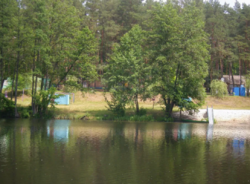 Продается дом Сумская, Сумы, Заречный фото 5 Продается дом Сумская, Сумы, Заречный фото 5