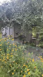 ��������� ��� �/� ճ��-3, ����������, �������, ������� ���� 7