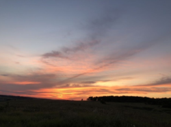 Продается дом Сумская, Сумы, Заречный, проспект Казацкий фото 6 Продается дом Сумская, Сумы, Заречный, проспект Казацкий фото 6