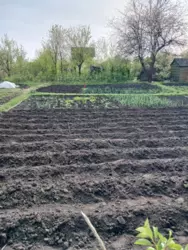 Продается дом Сумская, Сумы, Ковпаковский, р-н Водоканала , Білопільскій шлях фото 2 Продается дом Сумская, Сумы, Ковпаковский, р-н Водоканала , Білопільскій шлях фото 2