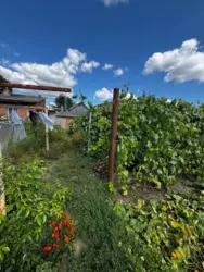 Продается дом Добровільна, Сумы, Сумская, Ковпаковский фото 10 Продается дом Добровільна, Сумы, Сумская, Ковпаковский фото 10