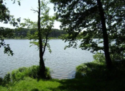 С. Писаревка, Сумская область, Сумской район, ветхий дом, 34 сотки фото 3 С. Писаревка, Сумская область, Сумской район, ветхий дом, 34 сотки фото 3